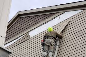 Best Siding Painting and Refinishing  in El Cerro Mission, NM